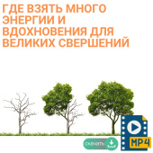 Рами Блект. Где взять много энергии и вдохновения для великих свершений.